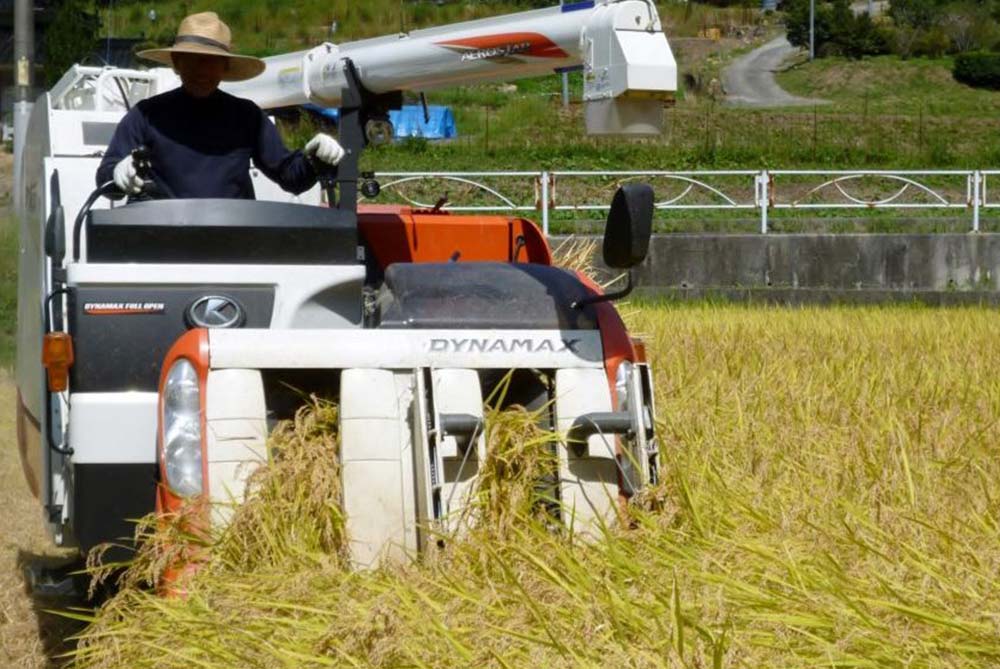 スマイル10アール1